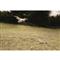 Higdon The Persuader Motion Decoy Stand