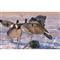Higdon Clone Canada Goose Motion Decoy