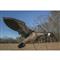 Higdon Clone Canada Goose Motion Decoy