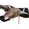 Higdon Clone Canada Goose Motion Decoy