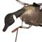 Higdon Clone Canada Goose Motion Decoy