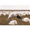 Higdon Clone Snow Goose Motion Decoy - 732939, Goose Decoys at ...