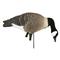 Higdon Apex Full-size Full-Body Canada Goose Decoys, 6 Feeders
