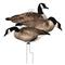 Higdon Flats Canada Goose Motion Silhouette Decoys, 12 Pack