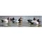 Higdon Standard Canvasback Duck Decoys, 12 Pack