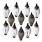 Higdon Standard Canvasback Duck Decoys, 12 Pack