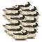 Higdon Standard Bufflehead Duck Decoys, 12 Pack