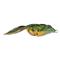 Lunkerhunt Compact Frog Lure, Blue Gill