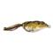 Lunkerhunt Compact Frog Lure, Toad