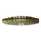 Lunkerhunt Hive 3" Ned Drone Lure, 8 Pack, Goby