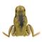Lunkerhunt Hollow Body Popping Frog, Toad