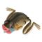 Lunkerhunt Hollow Body Popping Frog, Blue Gill