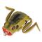 Lunkerhunt Hollow Body Popping Frog, Toad