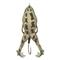 Lunkerhunt Hollow Body Prop Frog Lure, Rockytoad
