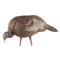 Avian-X LCD Jake and Hen Combo Turkey Decoys
