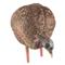 Avian-X LCD Jake and Hen Combo Turkey Decoys