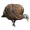 Avian-X LCD Jake and Hen Combo Turkey Decoys
