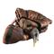 Avian-X LCD Jake and Hen Combo Turkey Decoys