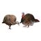 Avian-X LCD Jake and Hen Combo Turkey Decoys