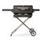 Masterbuilt Portable Charcoal Grill and Smoker with Cart