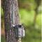 SPYPOINT LM2 Cellular Trail/Game Camera, 20 MP