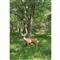 BIGshot Pro Hunter Double Duty Buck Target