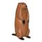 BIGshot Pro Hunter Groundhog Target