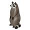 Big Shot Pro Hunter Raccoon Target