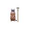 Big Shot Pro Hunter Raccoon Target