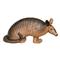 BIGshot Pro Hunter Armadillo Target