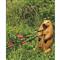 BIGshot RealWild Groundhog 3D Target
