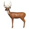 BIGshot RealWild 3D Alert Deer Target
