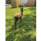 BIGshot Pronghorn 3D Target