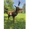 BIGshot Pronghorn 3D Target