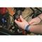 Black & Decker Light Duty Cam Buckle Tie Down Straps, 900-lb. Break Strength, 10' Length, 4 Pack