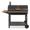 Char-Griller Outlaw Charcoal Grill, Black