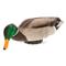 Avian-X Power Shaker Mallard Drake Feeder