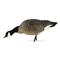 Avian-X AXP Lessers: Goose Decoy Feeder Pack, 6 Pack