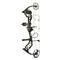 Bear Archery Species EV Ready-to-Hunt Compound Bow Package, Shadow