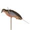 Life-size flying dove decoy with 360-degree spinning wings 