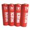 ICOtec TNT Rechargeable AA Battery Kit