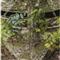 Primal Tree Stands Vision 270 Ground Blind