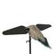 Lucky Duck Lucky Dove HD Spinning Wing Decoy