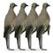 Lucky Duck Clip On Dove Decoys with Stakes, 4 Pack