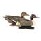 Avery GHG Hunter Series Life Size Pintail Duck Decoys, 6 Pieces