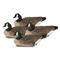 Avery GHG Pro-Grade XD Series Canada Goose Rester Floater Decoys, 4 Pack