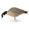 Avery GHG Hunter Series Canada Harvester Decoys, 6 Pieces