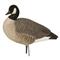 Avery GHG Hunter Series Canada Harvester Decoys, 6 Pieces