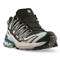 Salomon Women's XA Pro 3D V9 GORE-TEX Trail Running Shoes, Black/bleached Aqua/harbor Blue