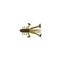 Eurotackle Crazy Critter 1.1" Bait, 8 Pack, Brown